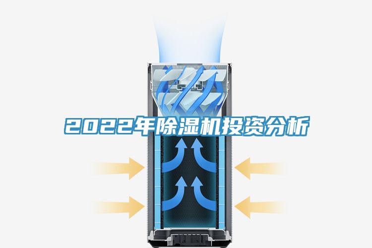 2022年91看片网站投資分析