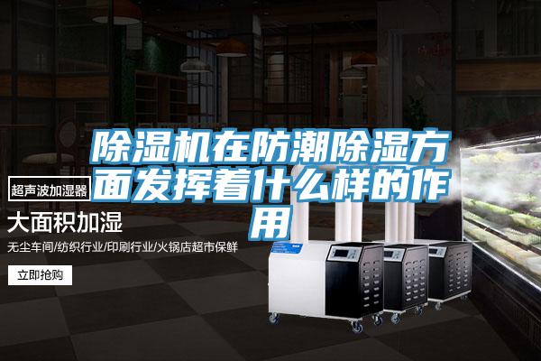 91看片网站在防潮除濕方麵發揮著什麽樣的作用