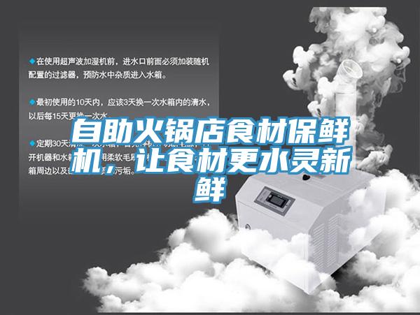 自助火鍋店食材保鮮機，讓食材更水靈新鮮