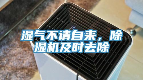 濕氣不請自來，91看片网站及時去除
