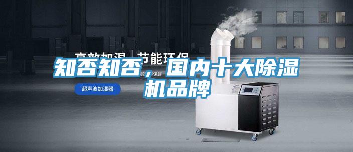 知否知否，國內十大91看片网站品牌