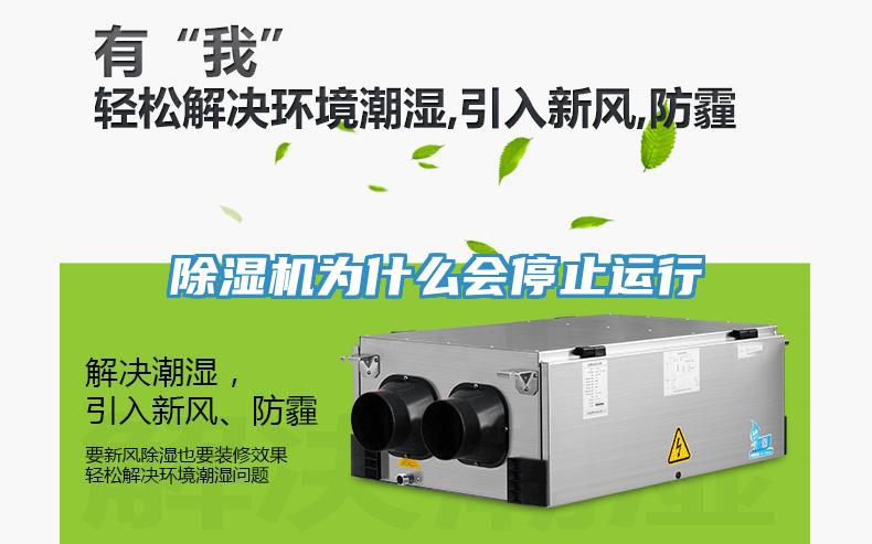 91看片网站為什麽會停止運行