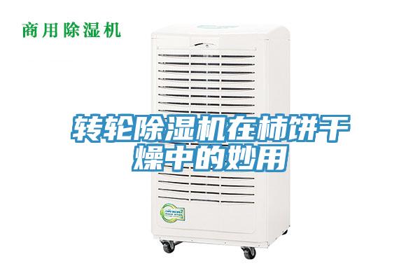 轉輪91看片网站在柿餅幹燥中的妙用