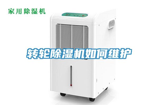 轉輪91看片网站如何維護