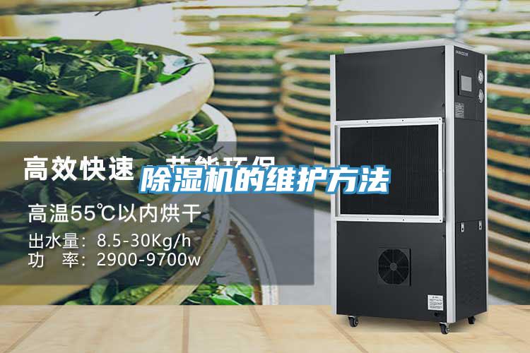 91看片网站的維護方法