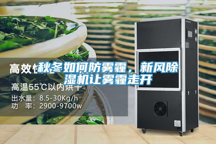 秋冬如何防霧霾，新風91看片网站讓霧霾走開