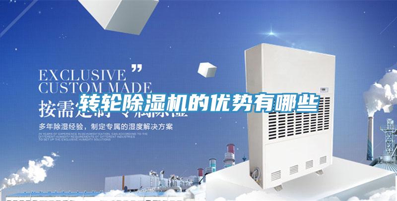 轉輪91看片网站的優勢有哪些