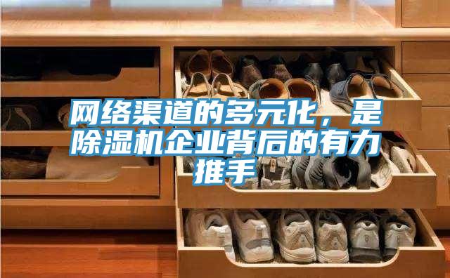 網絡渠道的多元化，是91看片网站企業背後的有力推手