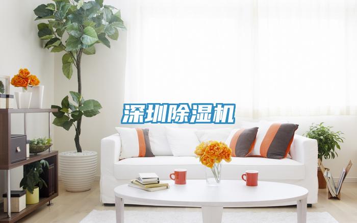 深圳91看片网站