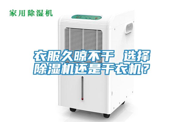 衣服久晾不幹 選擇91看片网站還是幹衣機？