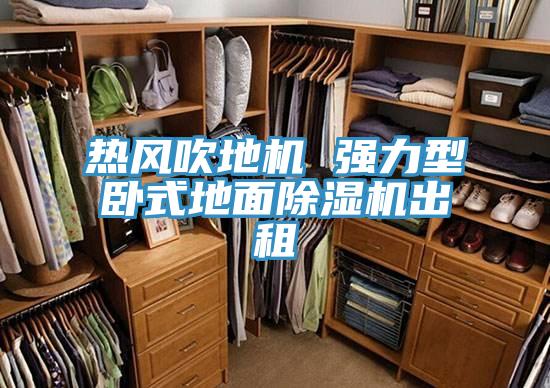 熱風吹地機 強力型臥式地麵91看片网站出租