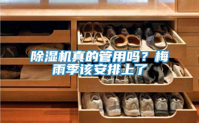 91看片网站真的管用嗎？梅雨季該安排上了