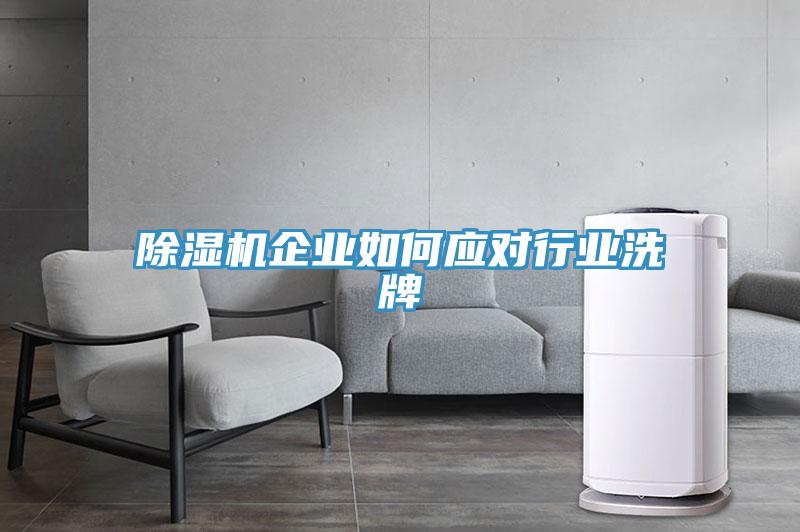 91看片网站企業如何應對行業洗牌