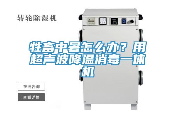 牲畜中暑怎麽辦？用超聲波降溫消毒一體機