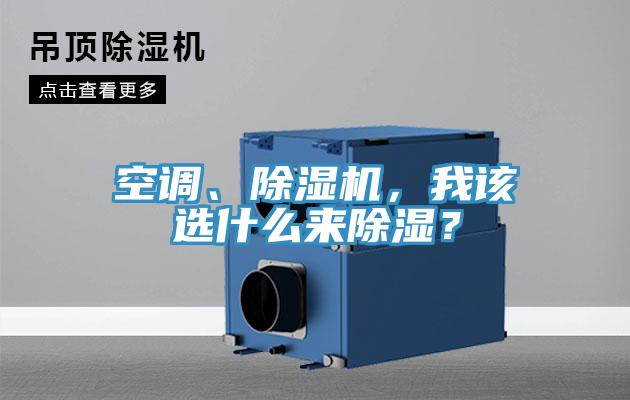 空調、91看片网站，我該選什麽來除濕？