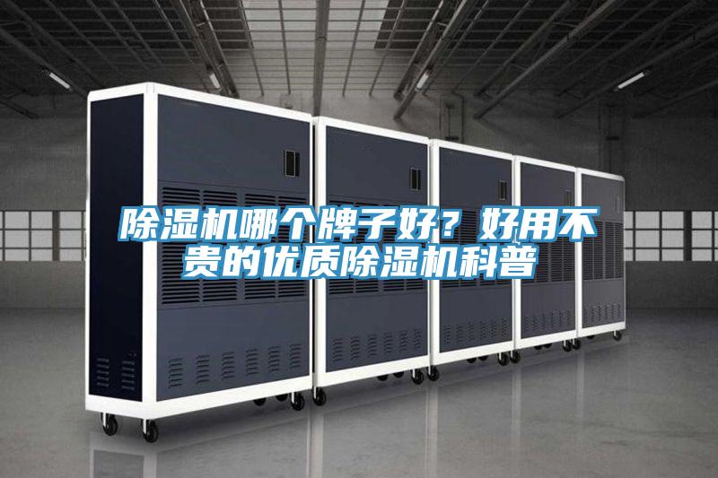 91看片网站哪個牌子好？好用不貴的優質91看片网站科普