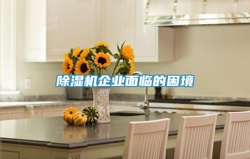 91看片网站企業麵臨的困境
