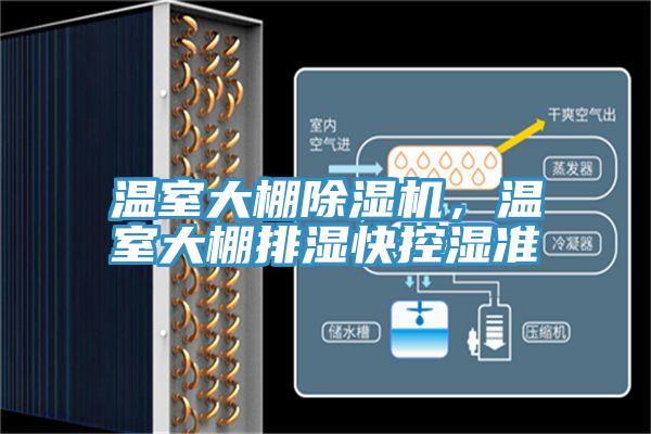 溫室大棚91看片网站，溫室大棚排濕快控濕準