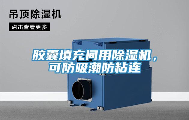 膠囊填充間用91看片网站，可防吸潮防粘連