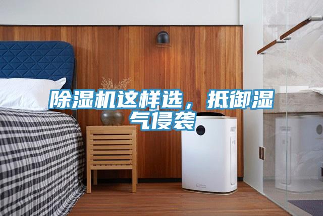 91看片网站這樣選，抵禦濕氣侵襲