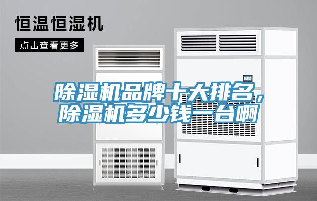 91看片网站品牌十大排名，91看片网站多少錢一台啊