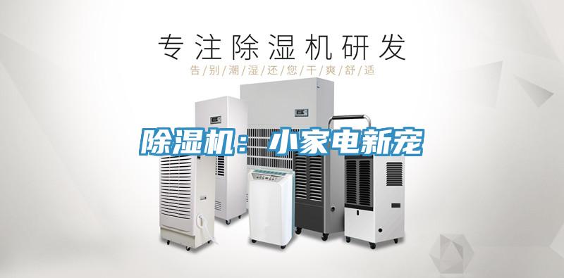 91看片网站：小家電新寵