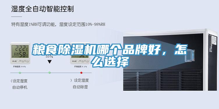 糧食91看片网站哪個品牌好，怎麽選擇