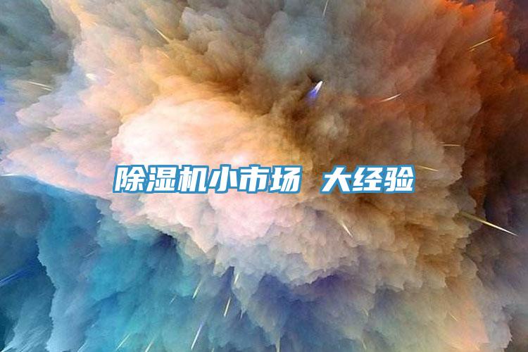 91看片网站小市場 大經驗