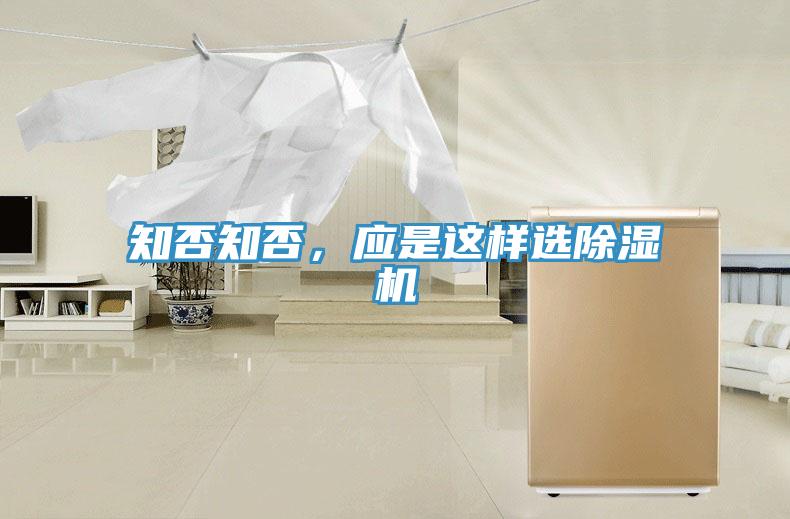 知否知否，應是這樣選91看片网站