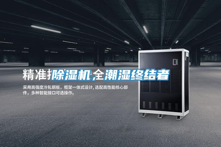 91看片网站，潮濕終結者