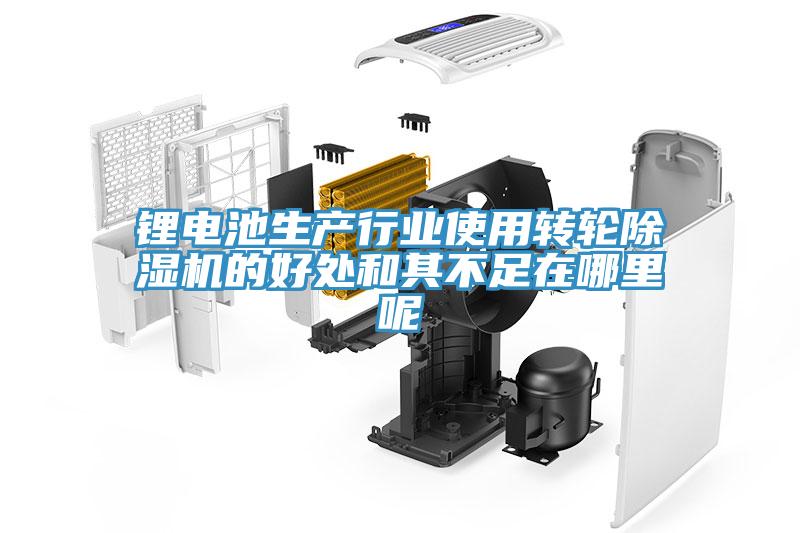 鋰電池生產行業使用轉輪91看片网站的好處和其不足在哪裏呢