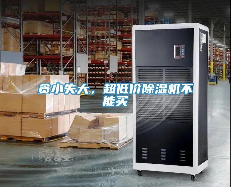 貪小失大，超低價91看片网站不能買