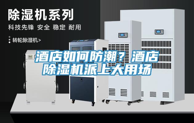 酒店如何防潮？酒店91看片网站派上大用場