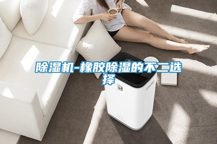 91看片网站-橡膠除濕的不二選擇