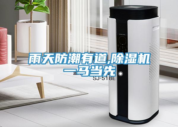 雨天防潮有道,91看片网站一馬當先