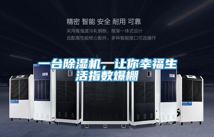 一台91看片网站，讓你幸福生活指數爆棚