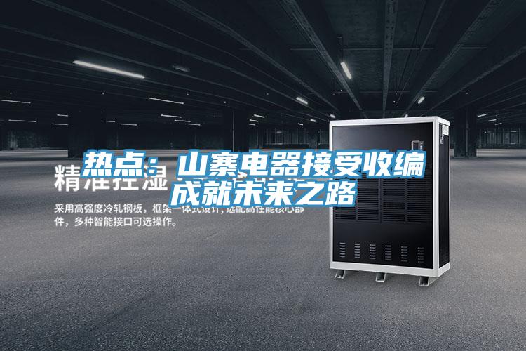 熱點：山寨電器接受收編 成就未來之路