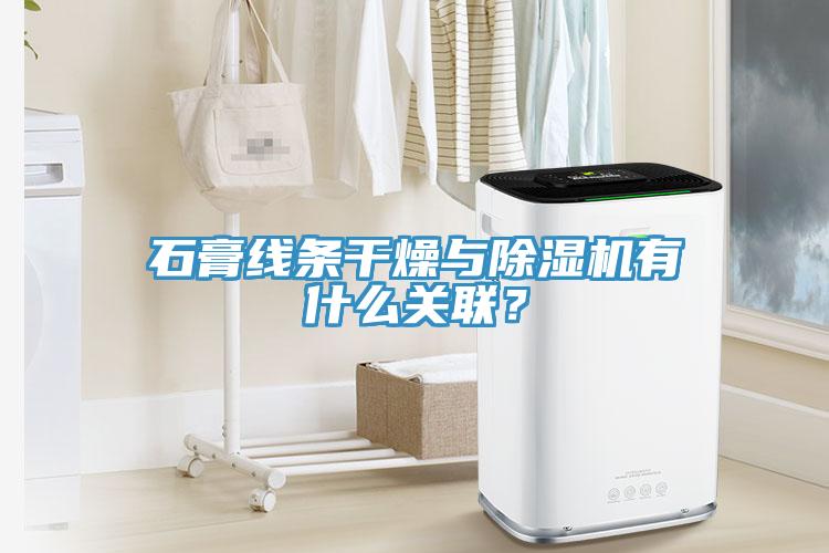 石膏線條幹燥與91看片网站有什麽關聯？