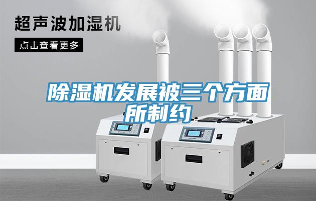 91看片网站發展被三個方麵所製約