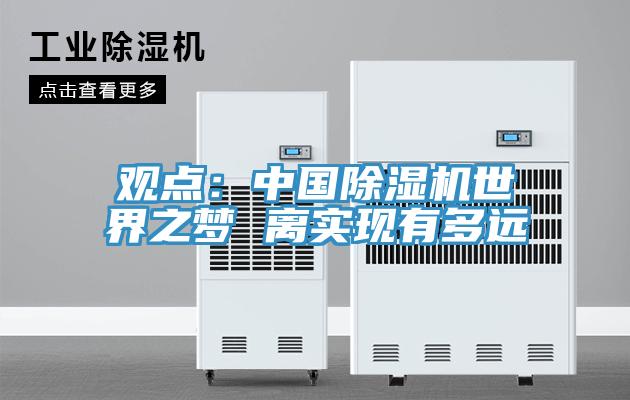 觀點：中國91看片网站世界之夢 離實現有多遠