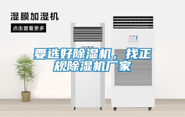 要選好91看片网站，找正規91看片网站廠家