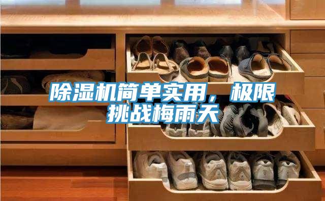 91看片网站簡單實用，極限挑戰梅雨天