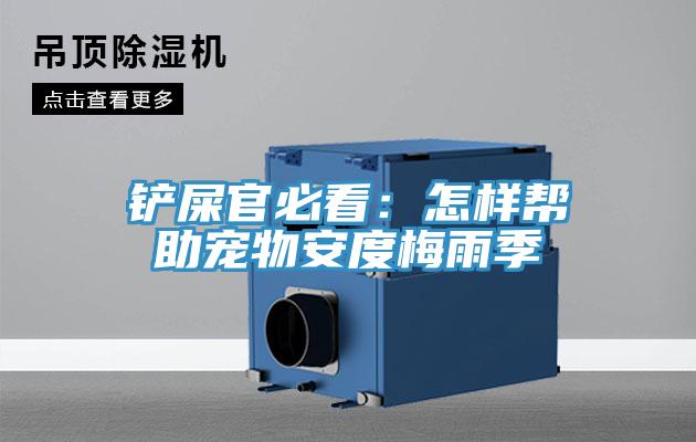 鏟屎官必看：怎樣幫助寵物安度梅雨季