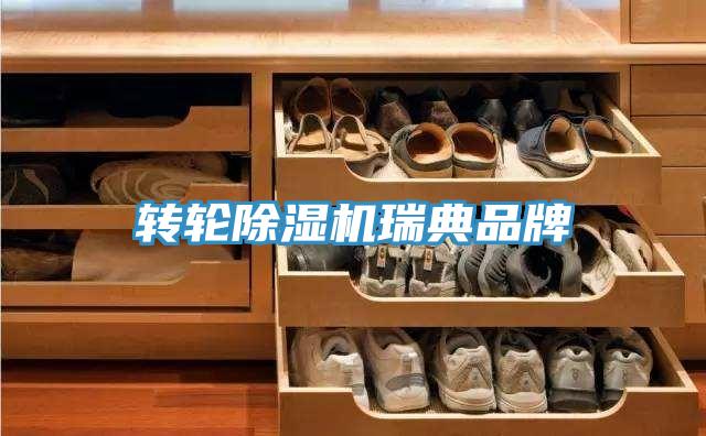 轉輪91看片网站瑞典品牌
