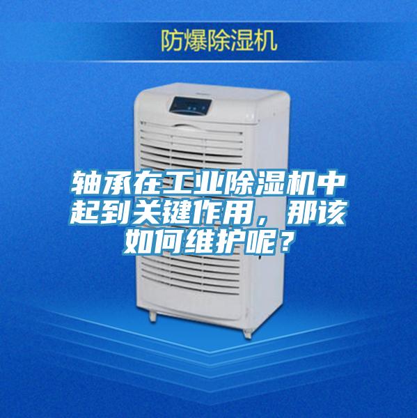軸承在工業91看片网站中起到關鍵作用，那該如何維護呢？