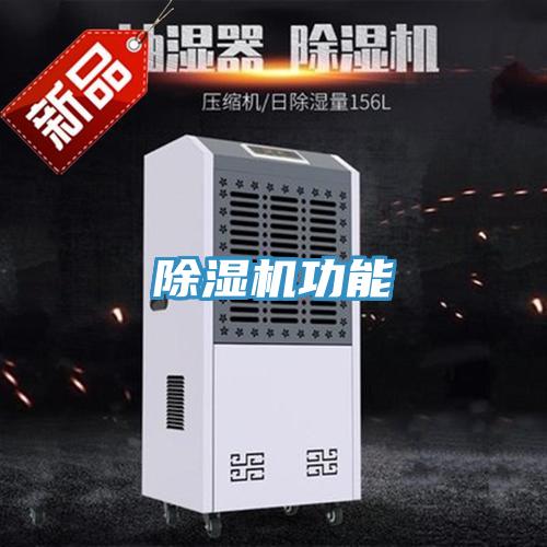 91看片网站功能