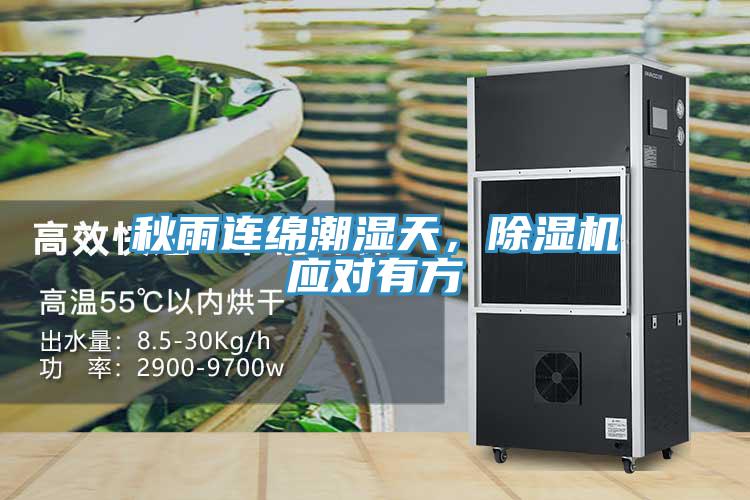 秋雨連綿潮濕天，91看片网站應對有方