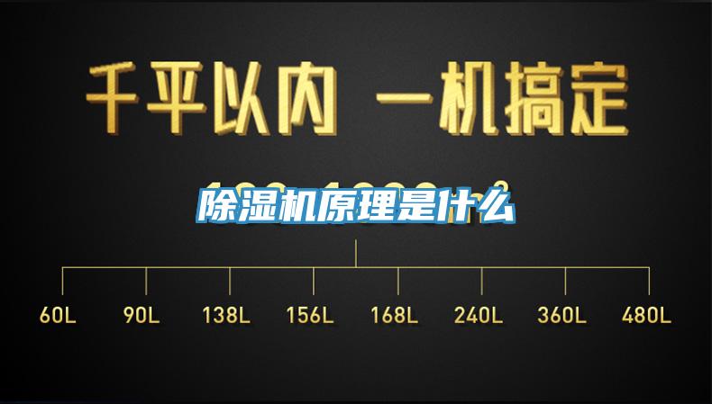 91看片网站原理是什麽