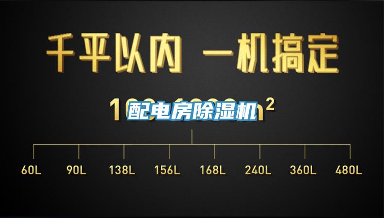 配電房91看片网站