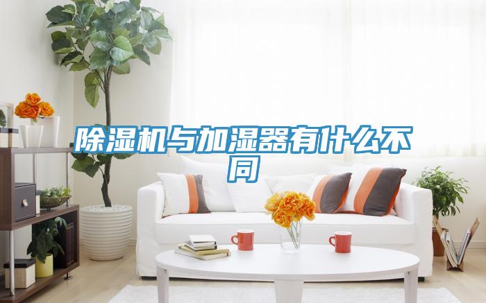 91看片网站與加濕器有什麽不同